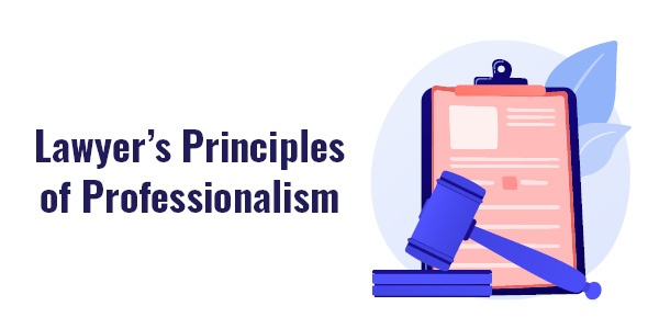 principles of professionalism - 600x300