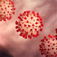 CDC-coronavirus