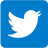 icon-share-twitter
